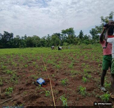 Hydrogeological survey (1)