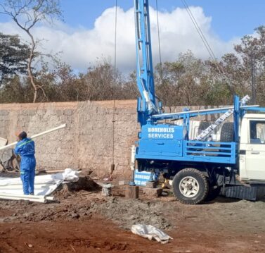 WhatsApp Image 2026-02-24 at 4.37.45 PM (1)