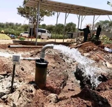 WhatsApp Image 2026-02-24 at 4.37.45 PM