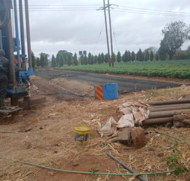 WhatsApp Image 2026-02-24 at 4.40.29 PM