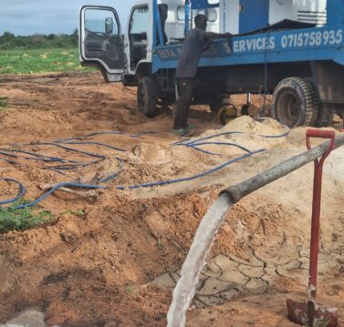 WhatsApp Image 2026-03-03 at 3.02.06 PM